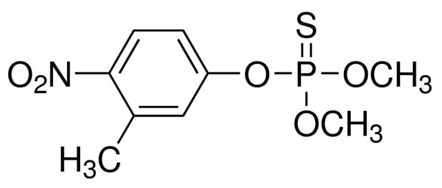 乙腈中殺螟硫磷溶液，100μg/mL